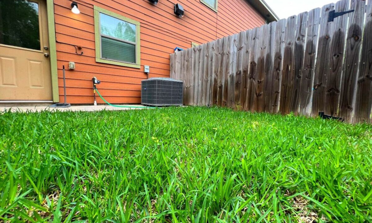 Photo of Outdoor in Pharr