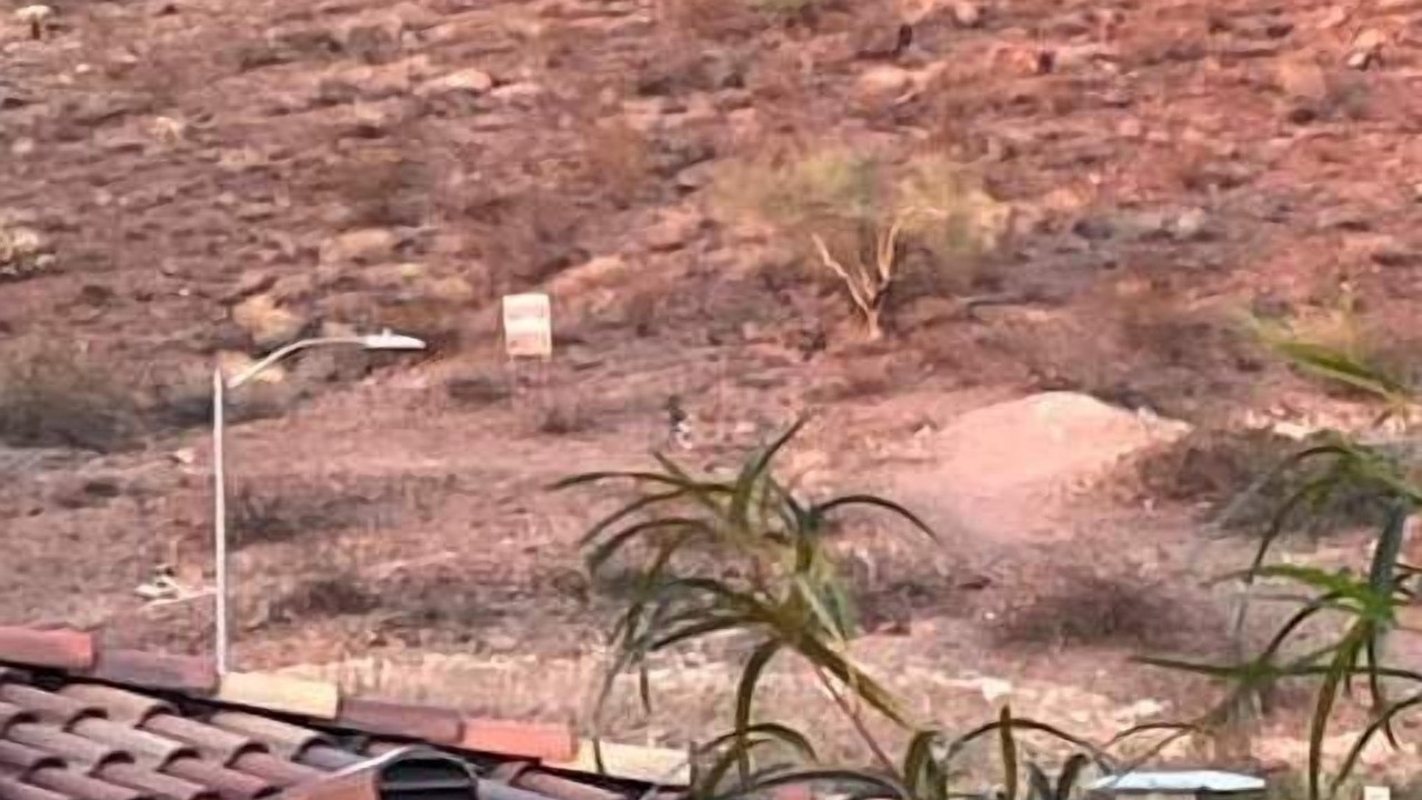 Photo of Others in North Mountain