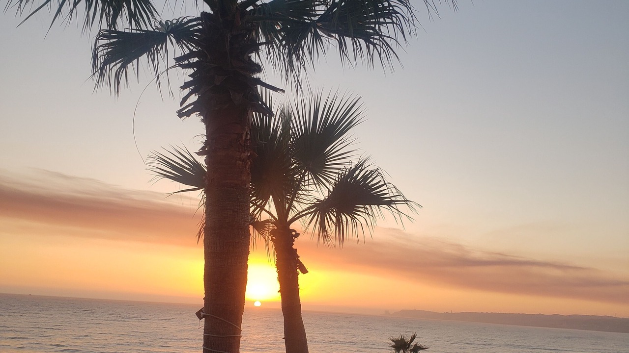 Photo of Others in Playas de Rosarito