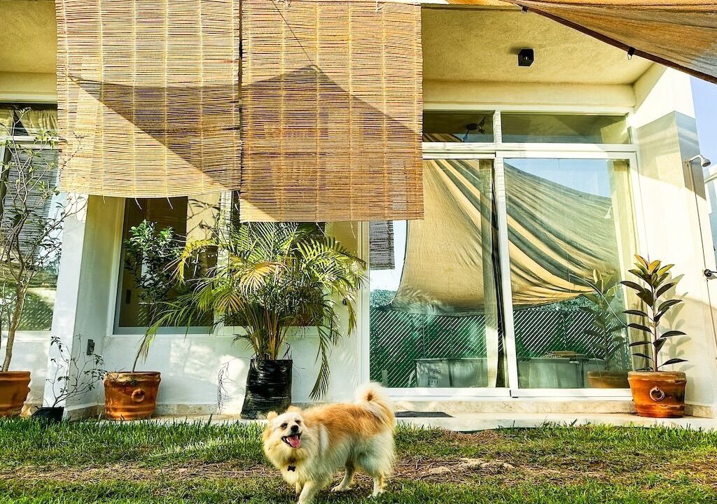 Photo of Outdoor in Puerto Escondido
