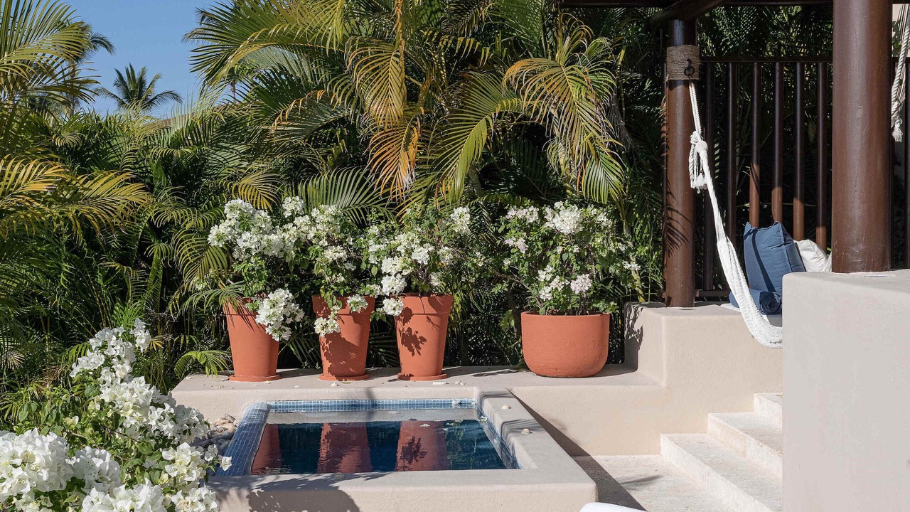 Photo of Outdoor in Punta de Mita