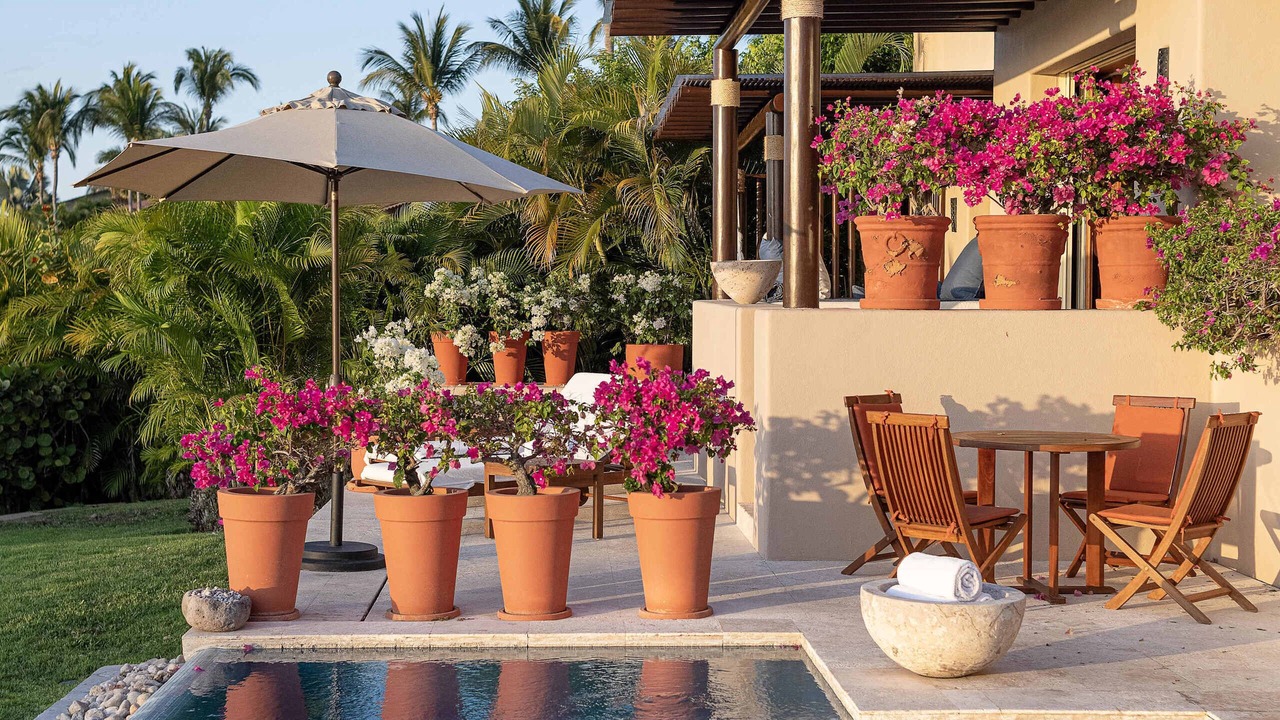 Photo of Outdoor in Punta de Mita