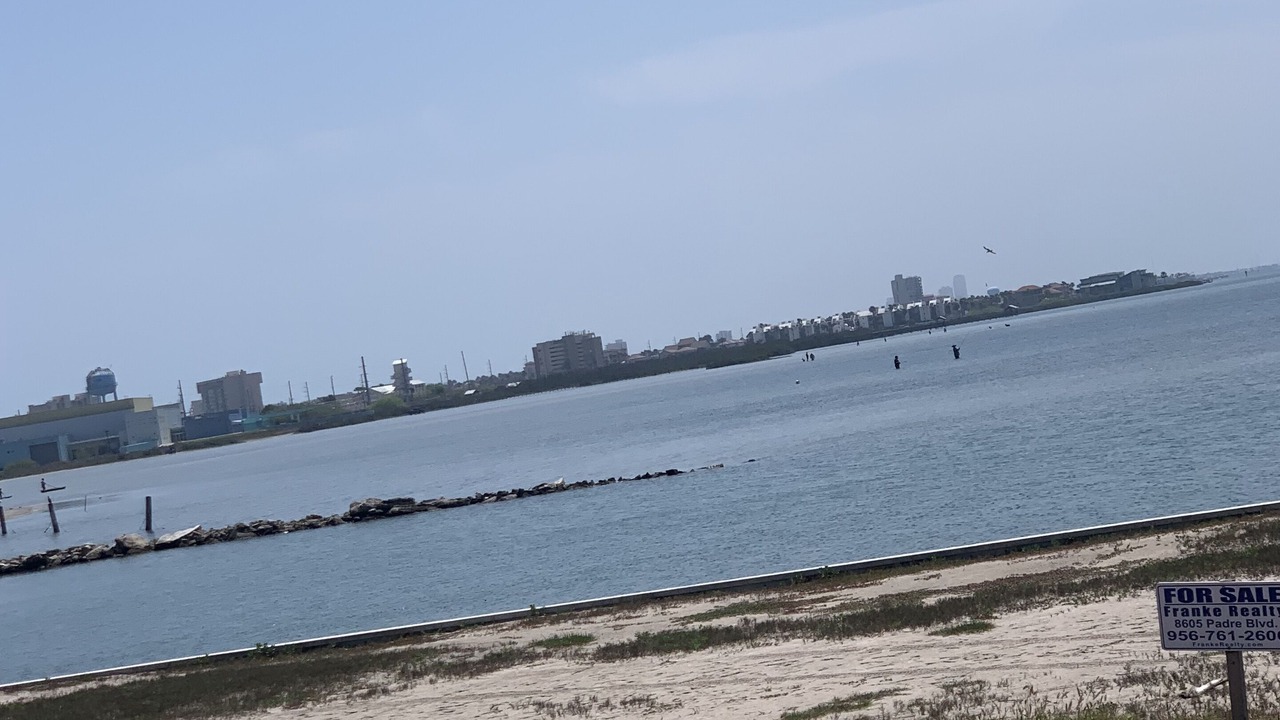 Photo of Outdoor in The Shores