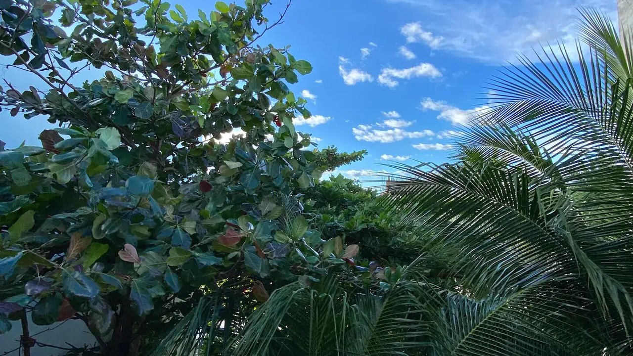 Photo of Outdoor in Puerto Morelos