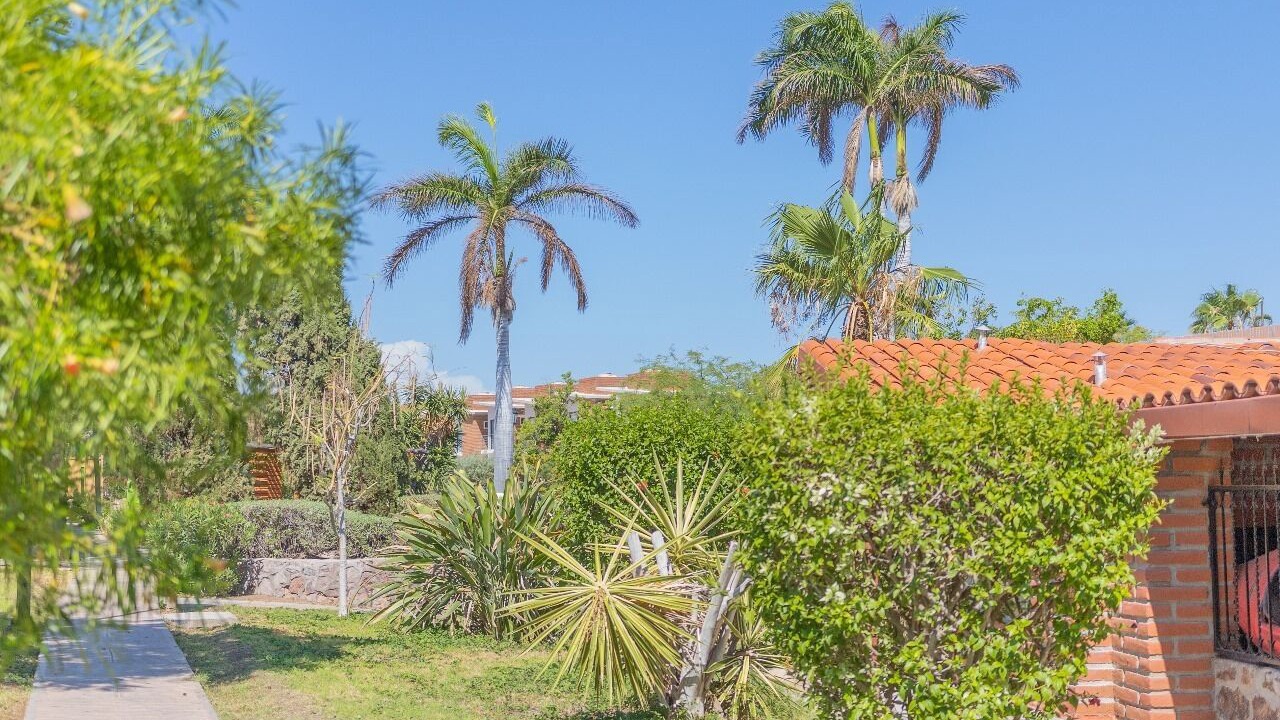 Photo of Outdoor in San Carlos