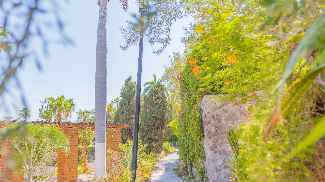 Photo of Outdoor in San Carlos