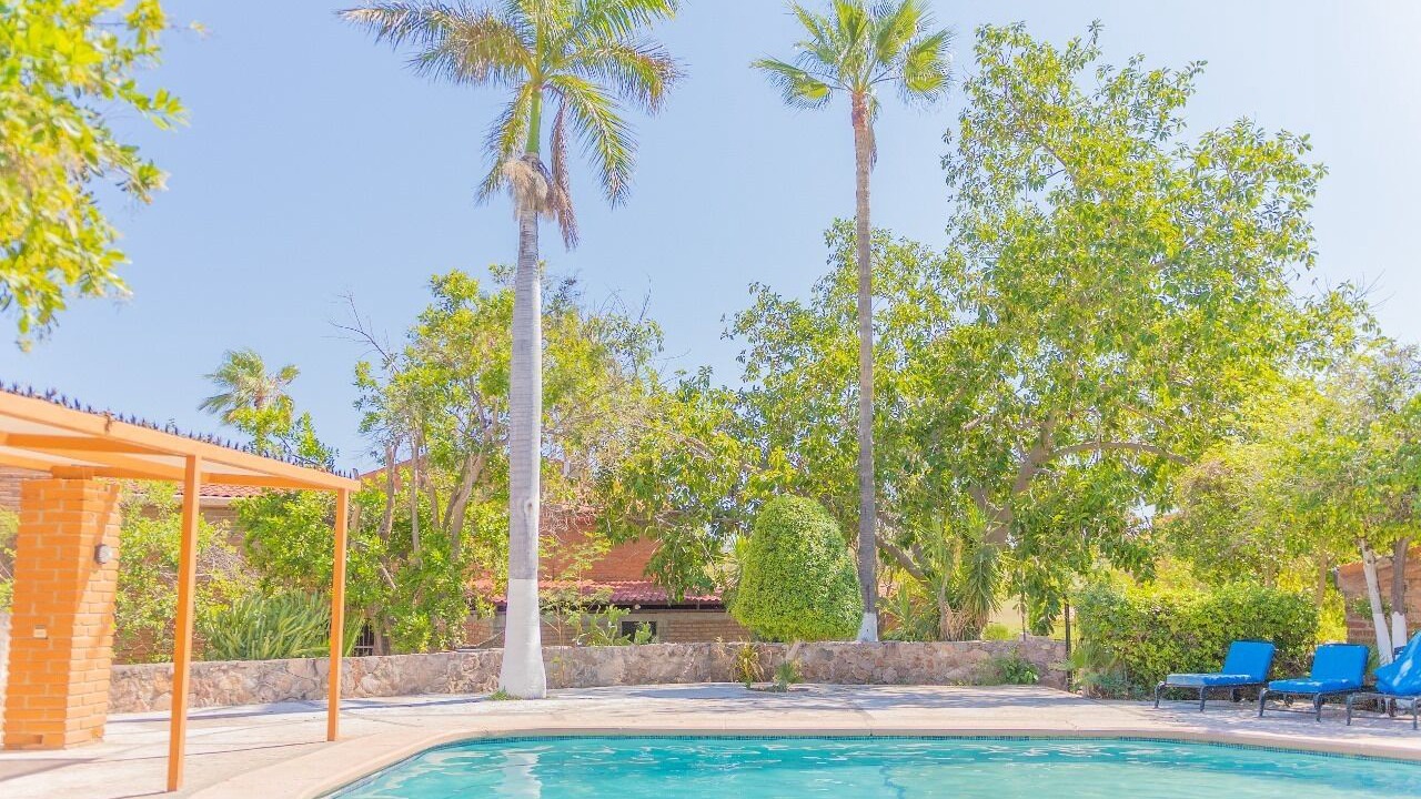 Photo of Outdoor in San Carlos