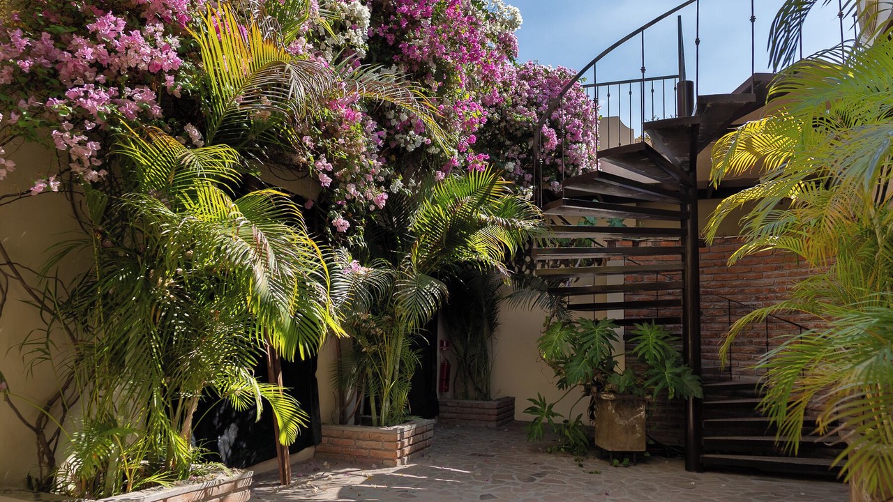 Photo of Outdoor in La Paz