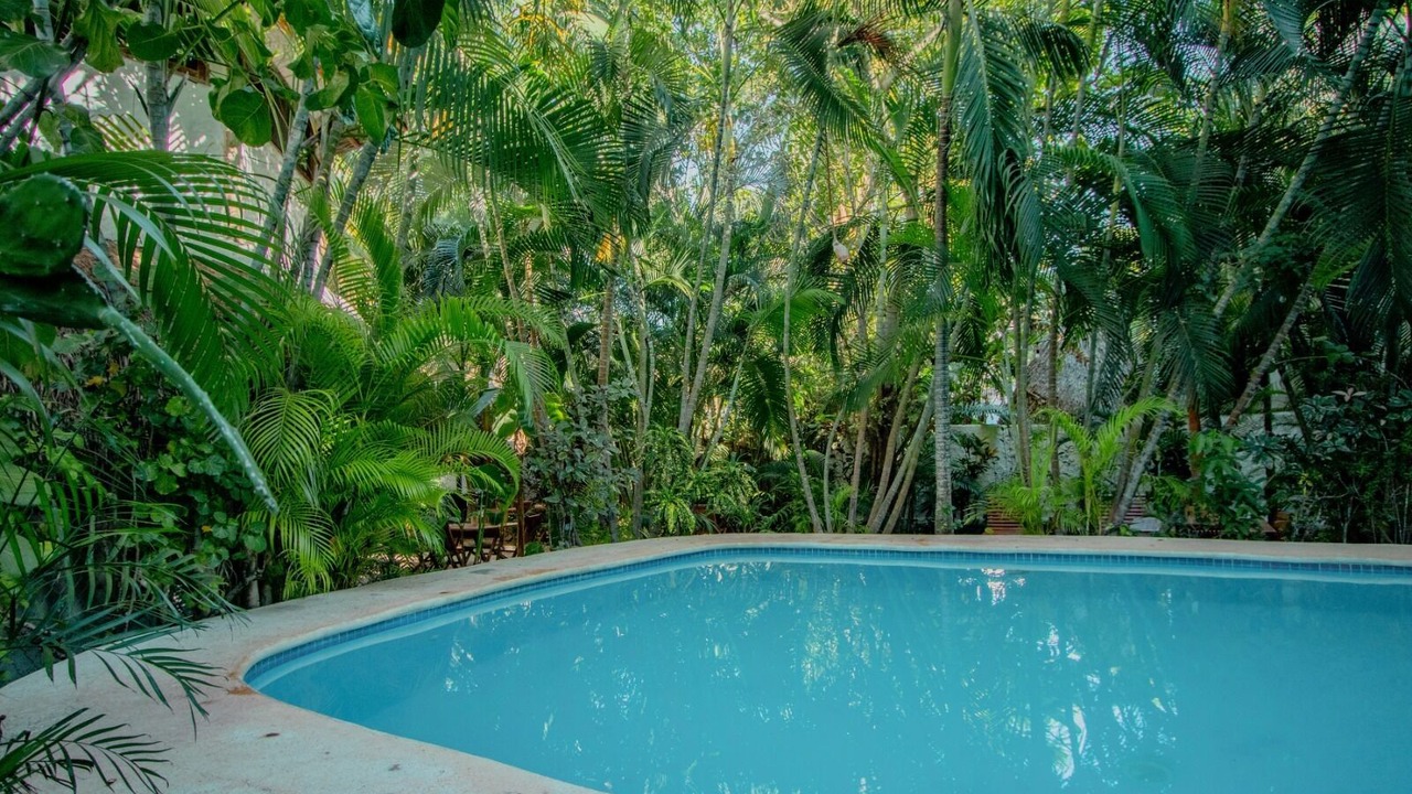 Photo of Outdoor in Isla Holbox