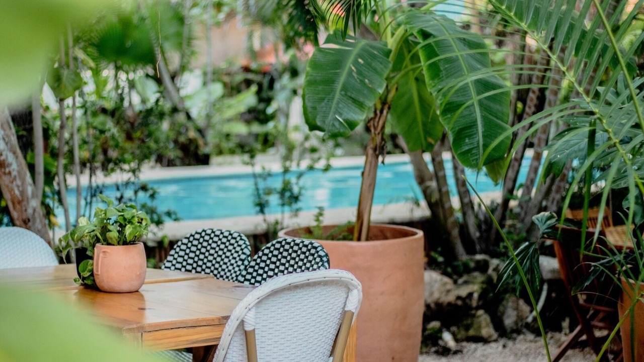 Photo of Outdoor in Isla Holbox