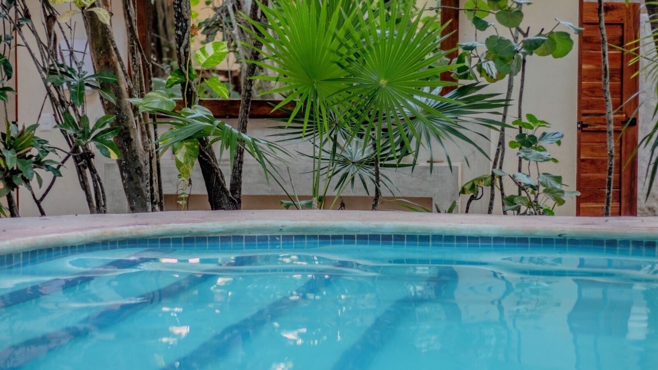 Photo of Outdoor in Isla Holbox