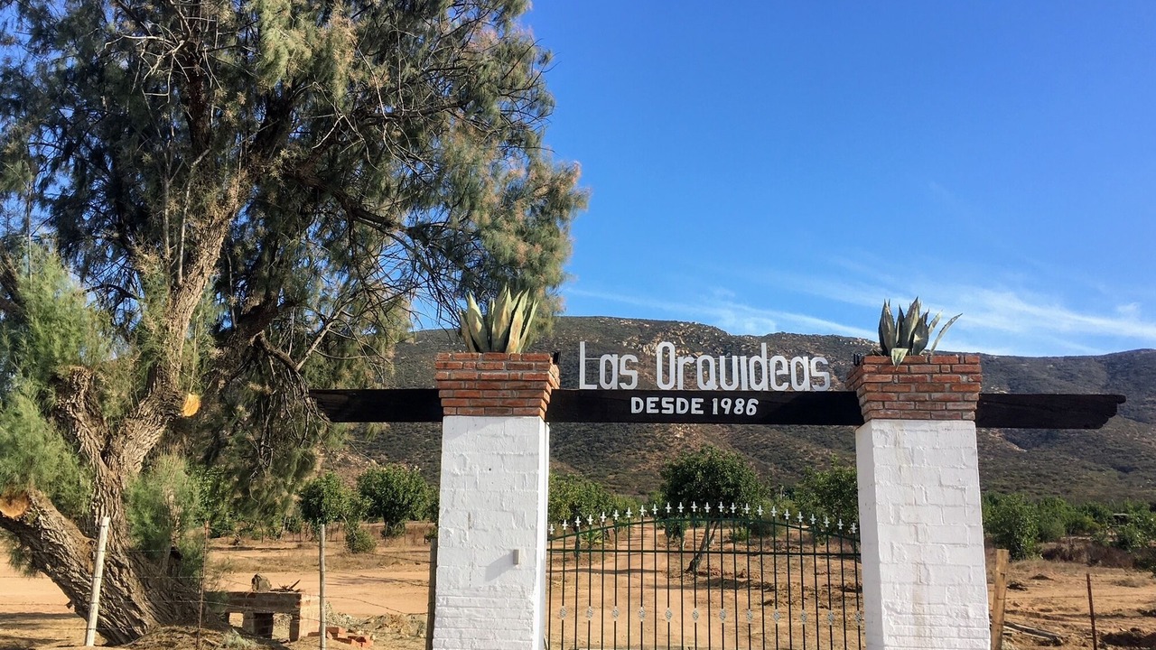 Photo of Outdoor in Valle de Guadalupe