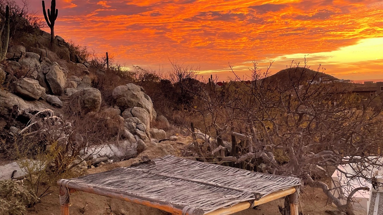 Photo of Outdoor in San Jose del Cabo
