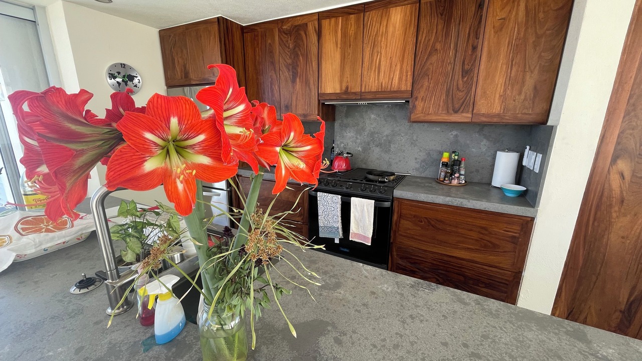 Photo of Kitchen in San Jose del Cabo