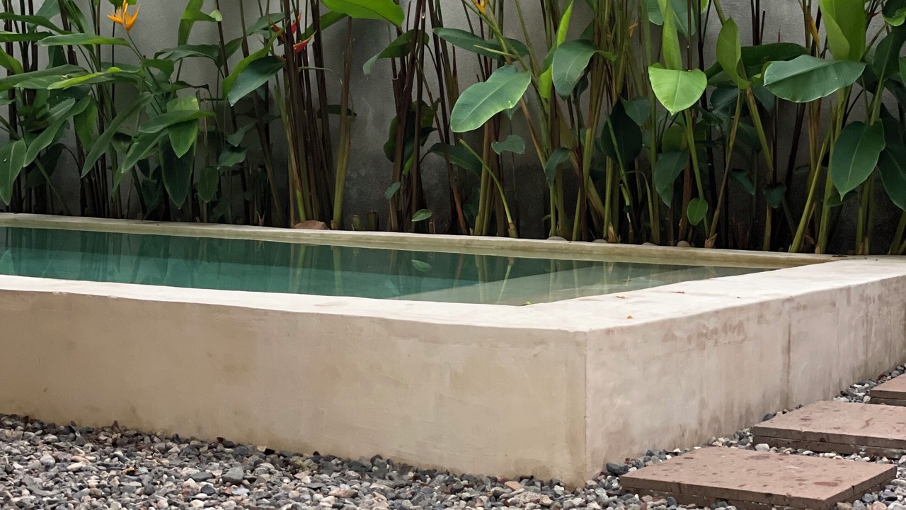 Photo of Outdoor in Barra de Navidad