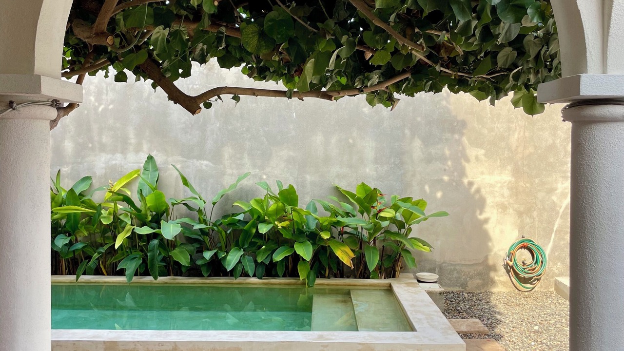 Photo of Outdoor in Barra de Navidad