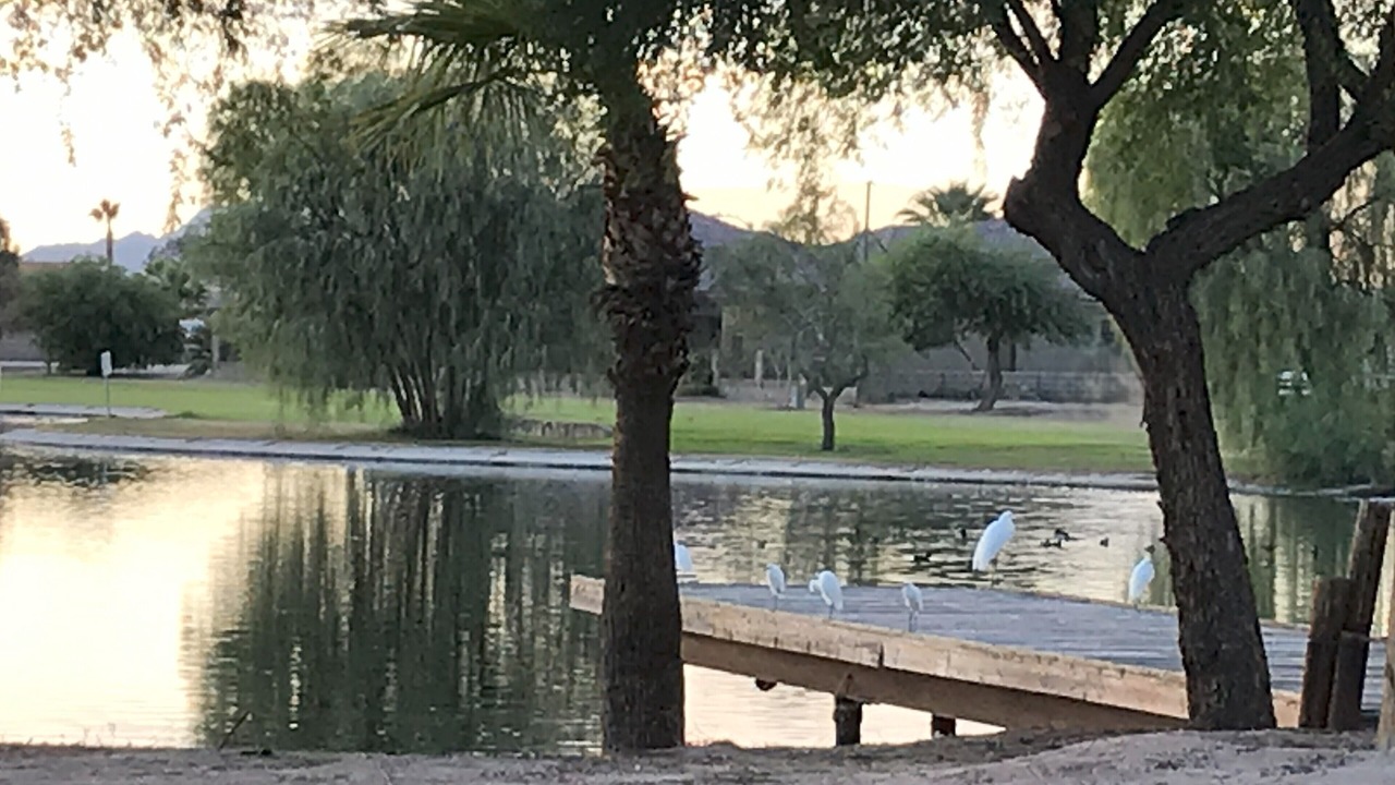 Photo of Others in Wellton