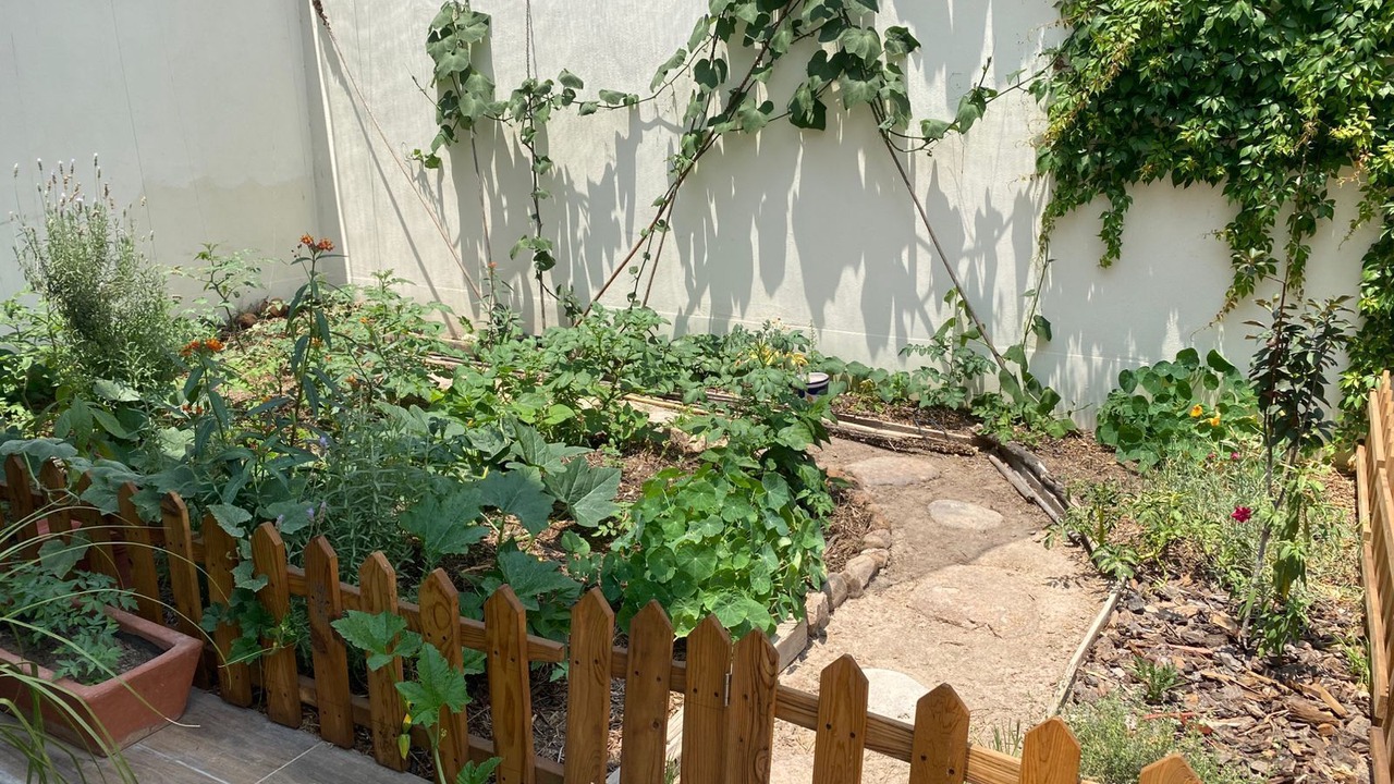 Photo of Outdoor in San Luis Potosi