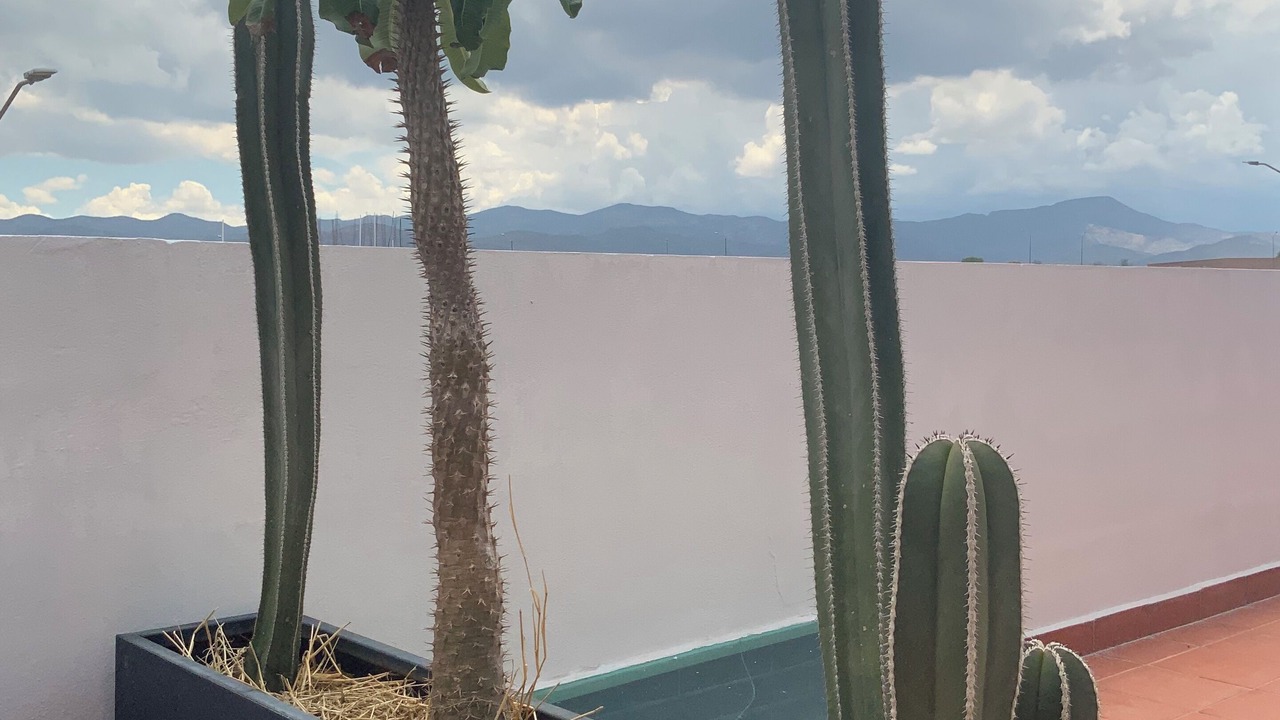 Photo of Outdoor in San Luis Potosi