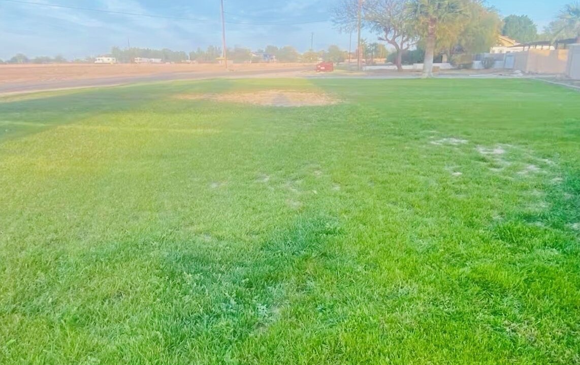 Photo of Others in Yuma Corona