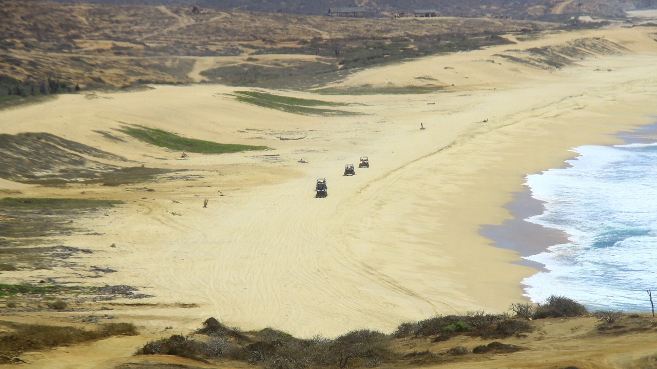 Photo of Others in El Medano Ejidal