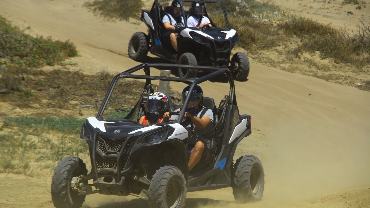 Photo of Others in El Medano Ejidal