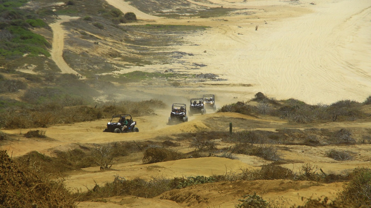 Photo of Others in El Medano Ejidal