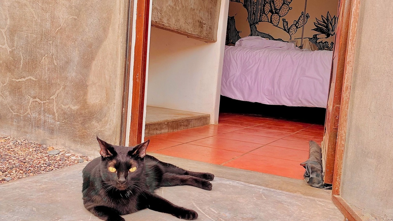 Photo of Bedroom in Todos Santos