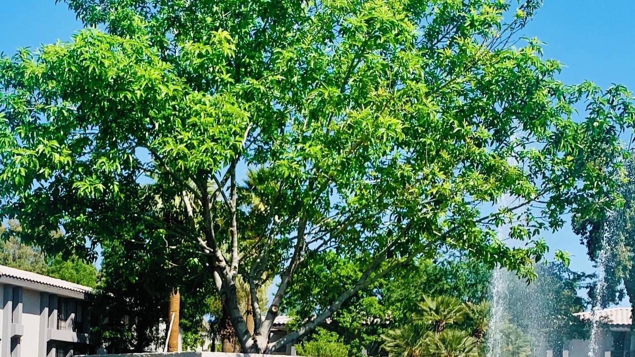 Photo of Outdoor in Cloisters