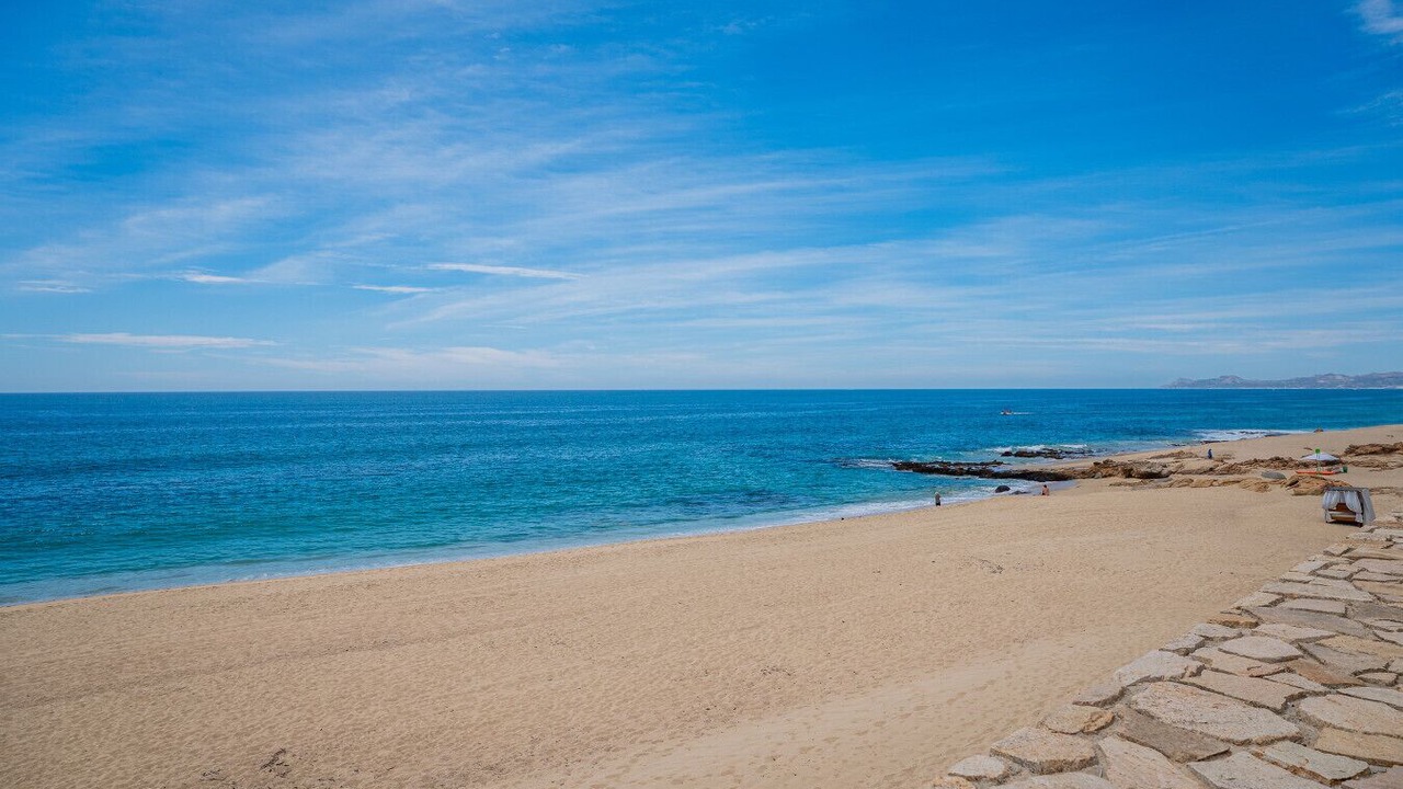 Photo of Others in Buzzards
