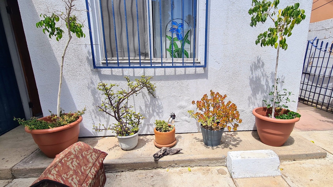 Photo of Outdoor in Piedras Negras