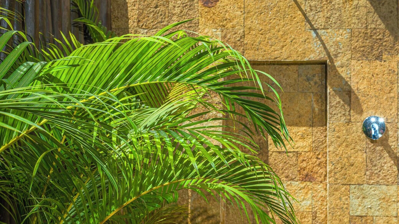 Photo of Outdoor in San Jose del Cabo