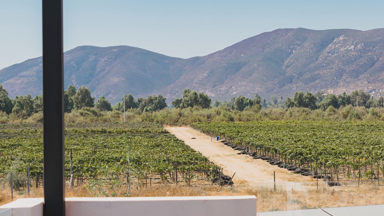 Photo of Others in Valle de Guadalupe