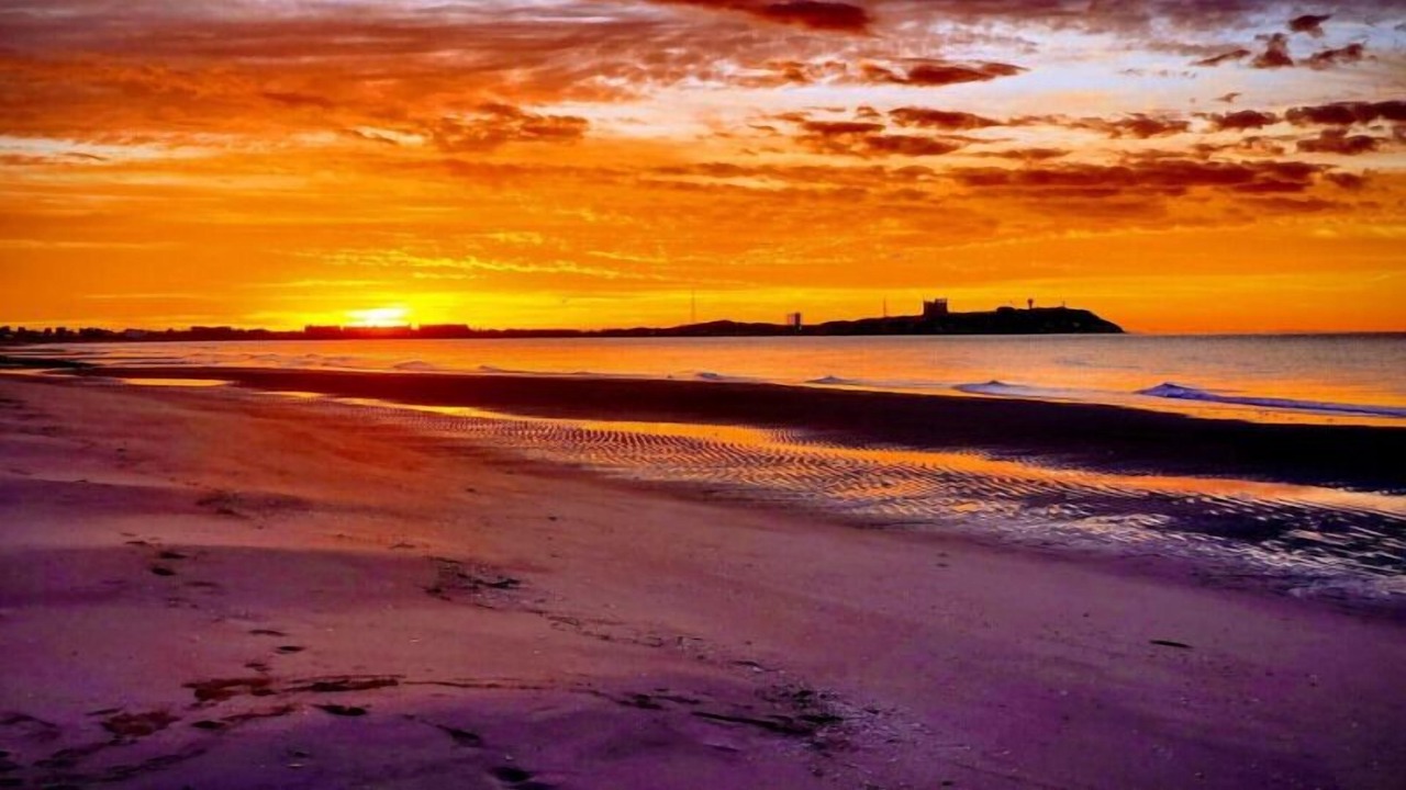 Photo of Others in Puerto Penasco