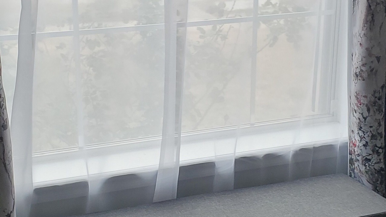 Photo of Others in Brownsville