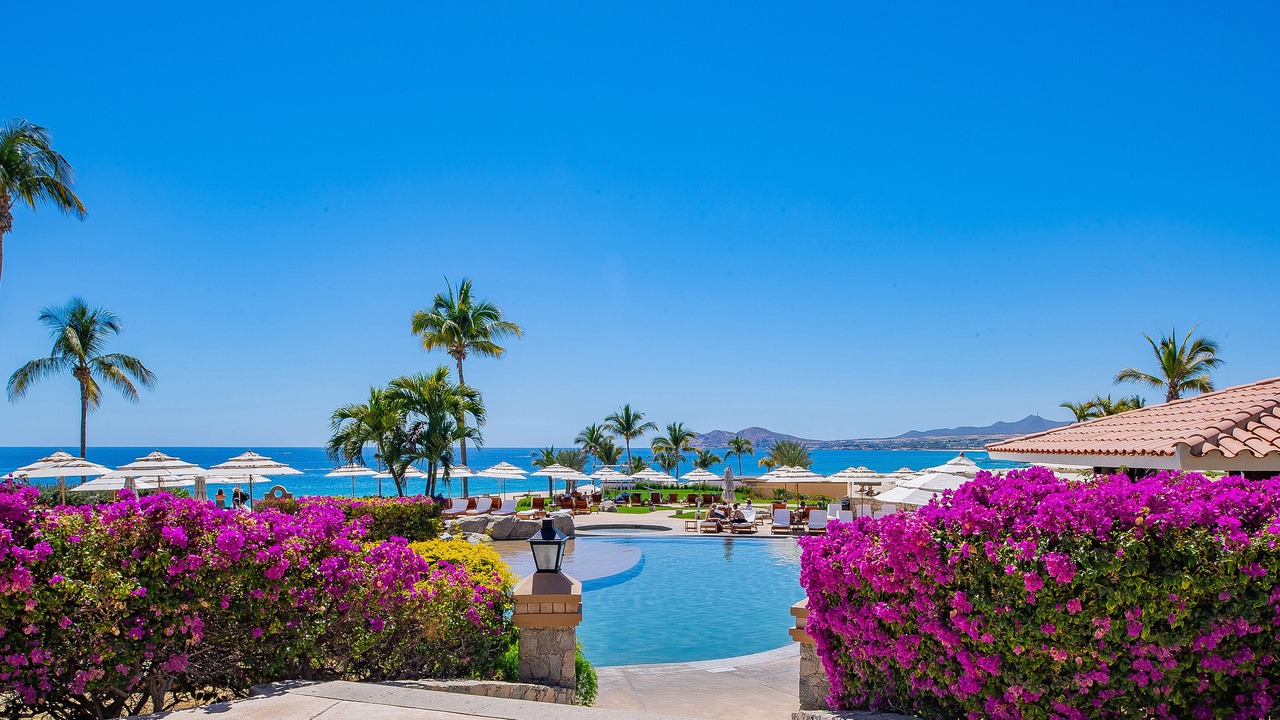 Photo of Others in San Jose del Cabo