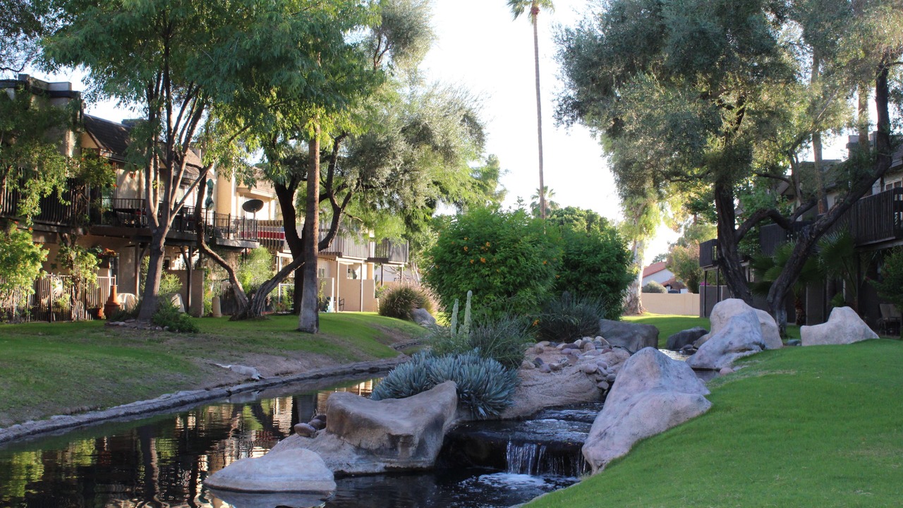 Photo of Outdoor in Dobson Ranch