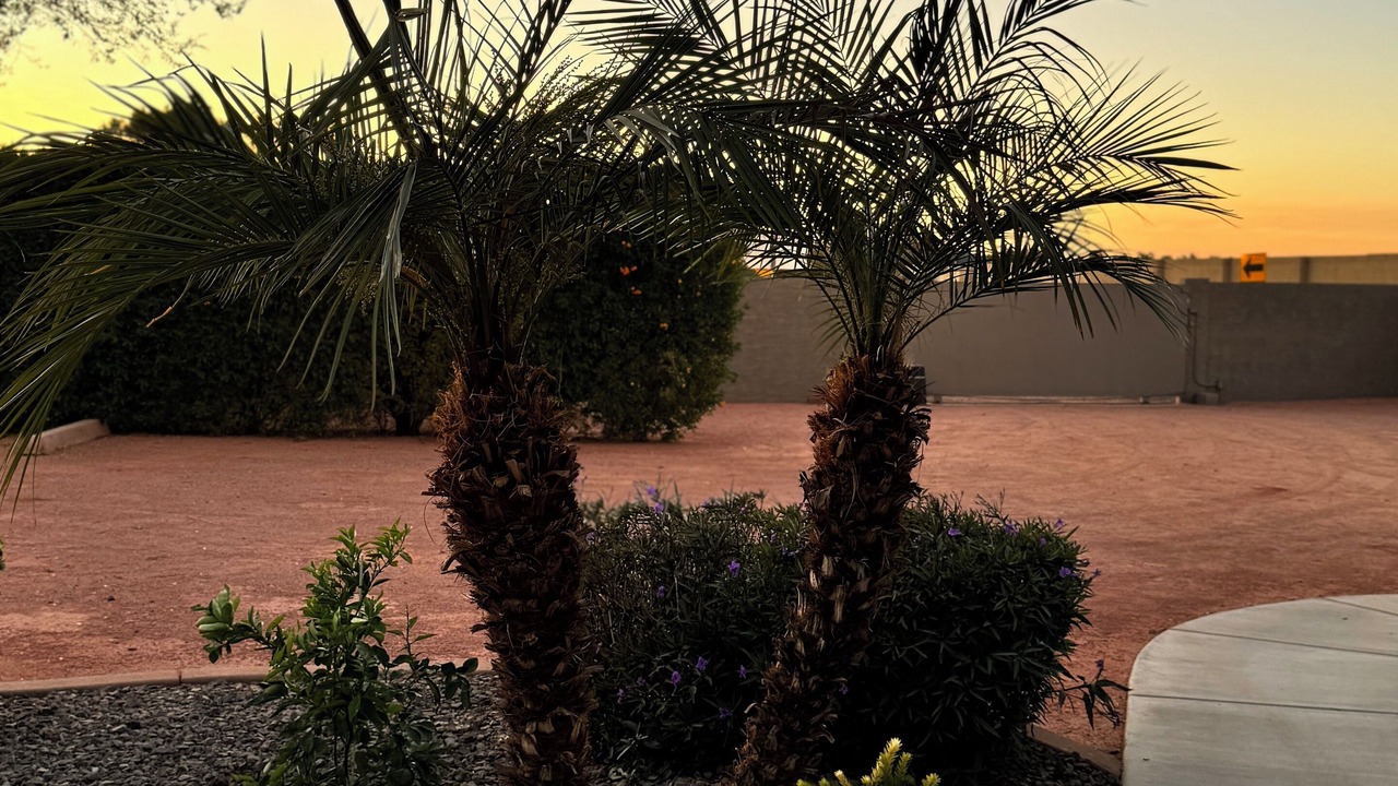 Photo of Outdoor in Peoria
