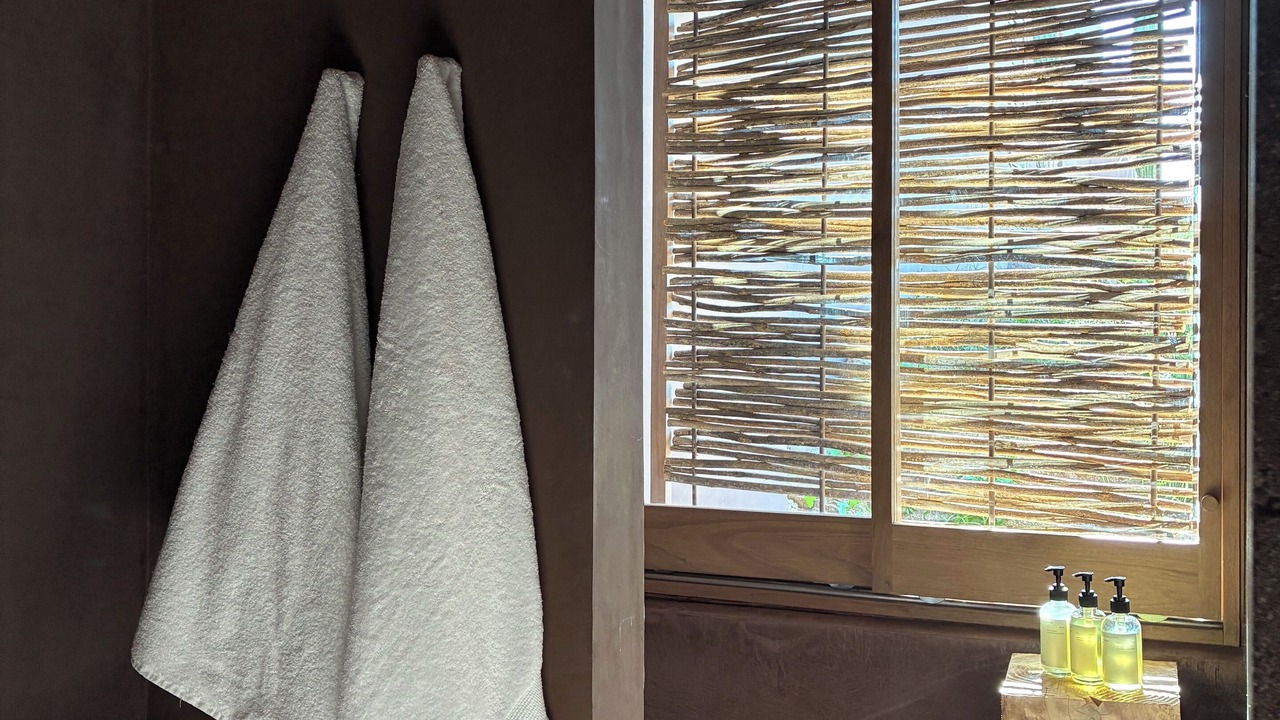 Photo of Bathroom in Todos Santos