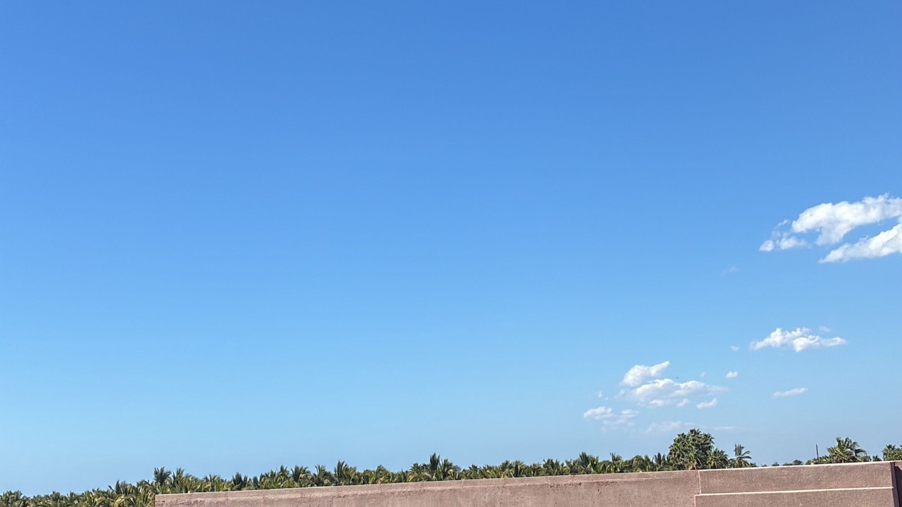 Photo of Outdoor in Todos Santos