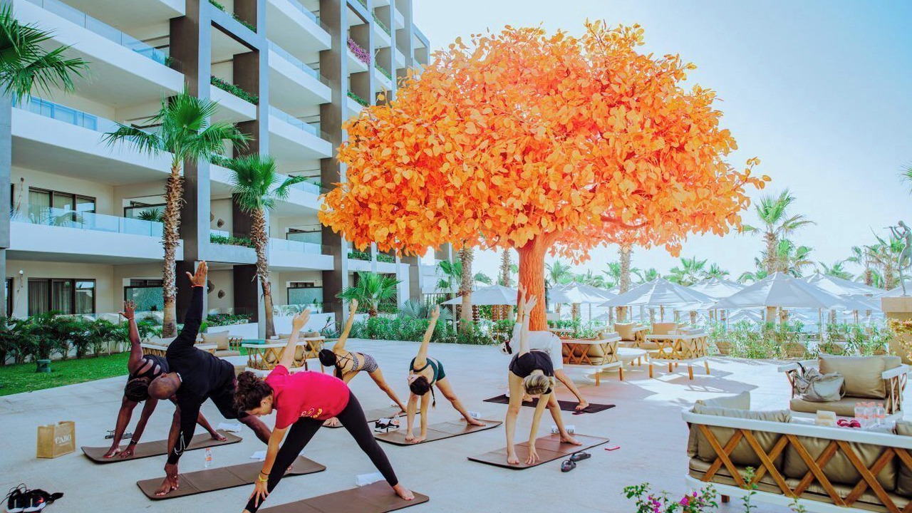 Photo of Outdoor in Palmilla