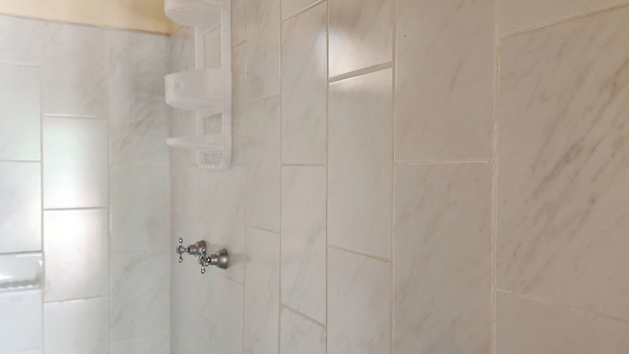 Photo of Bathroom in Ixtlahuacan de los Membrillos
