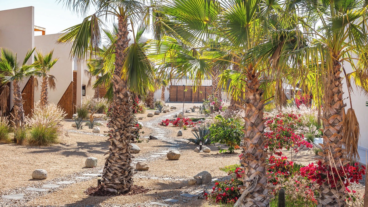 Photo of Outdoor in El Pescadero