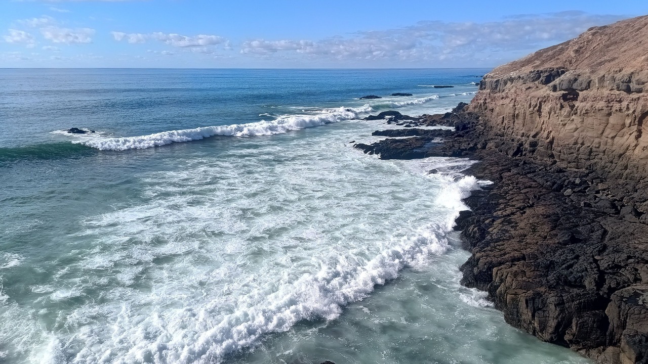 Photo of Others in Playas De Tijuana