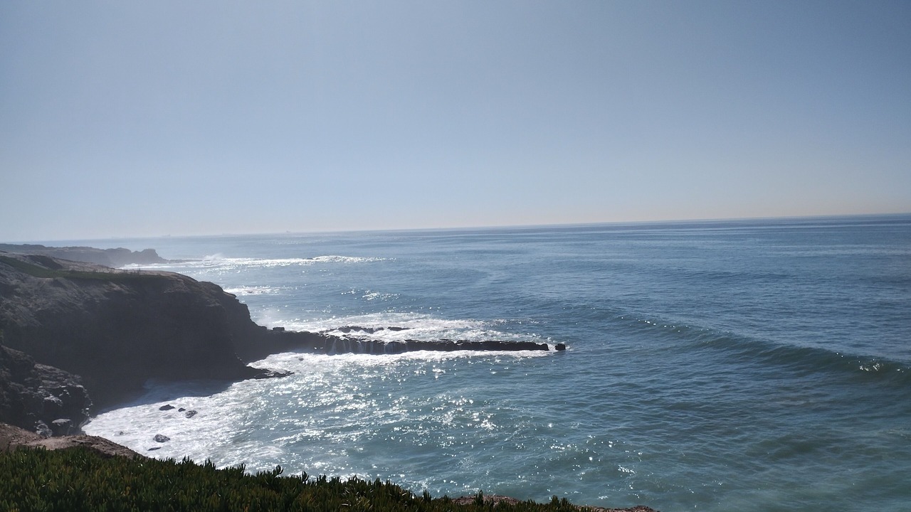 Photo of Others in Playas De Tijuana