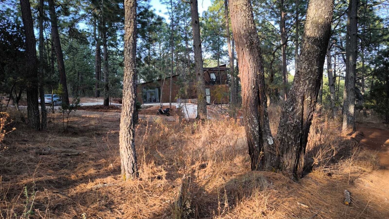 Photo of Outdoor in Atemajac de Brizuela