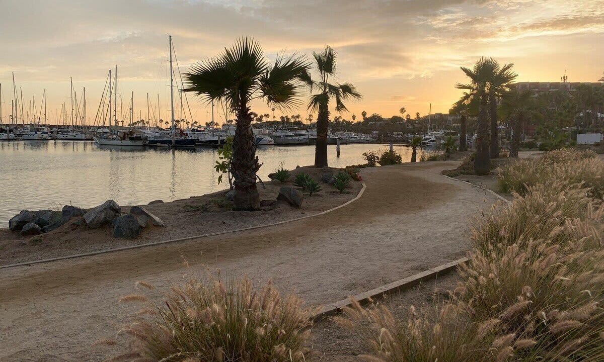 Photo of Others in Ensenada