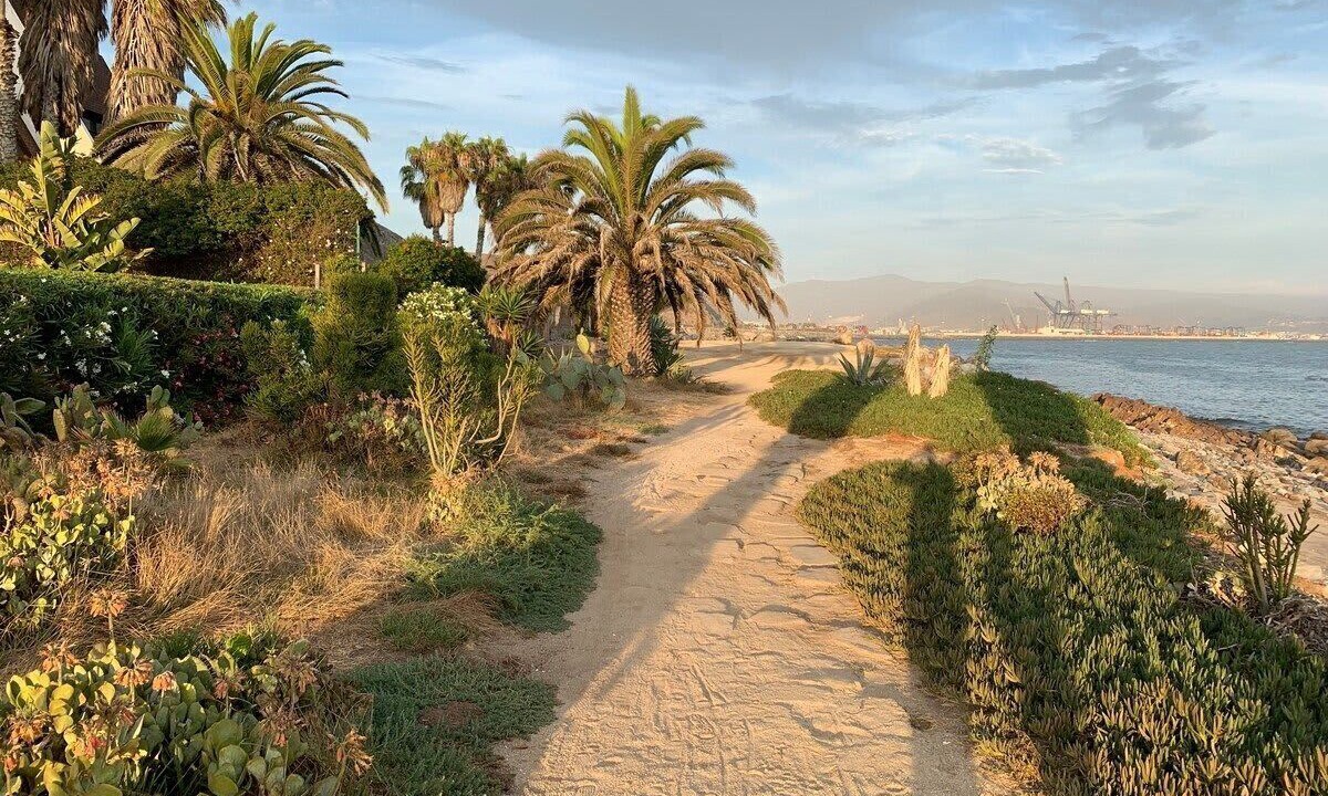 Photo of Others in Ensenada