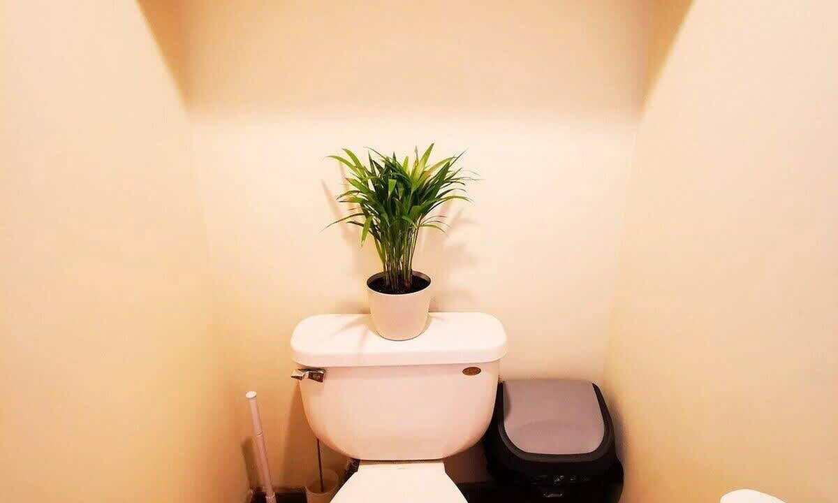 Photo of Bathroom in Ensenada