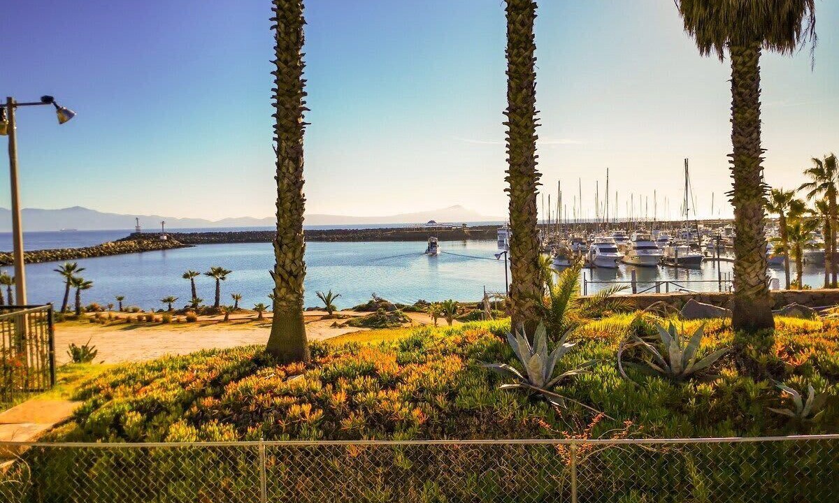 Photo of Others in Ensenada